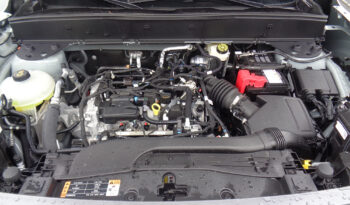FORD BRONCO SPORT BIG BEND full